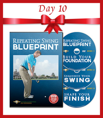 12.5 Deals of Christmas – Day 10 – Repeating Swing Blueprint